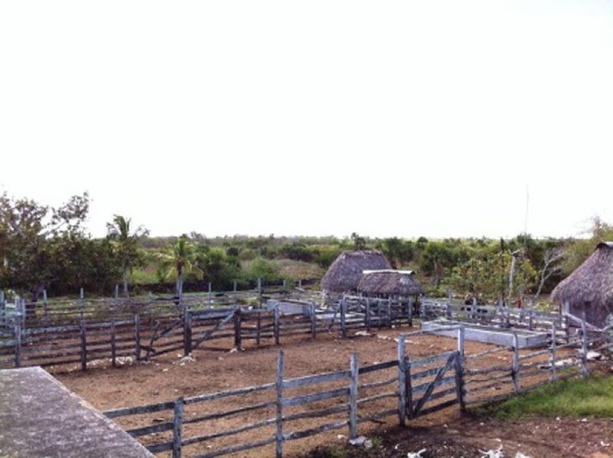 Picture of Development Site For Sale in Yucatan, Yucatan, Mexico