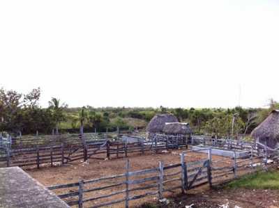 Development Site For Sale in Yucatan, Mexico