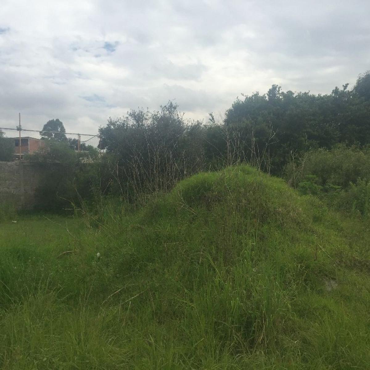 Picture of Residential Land For Sale in Cuautlancingo, Puebla, Mexico