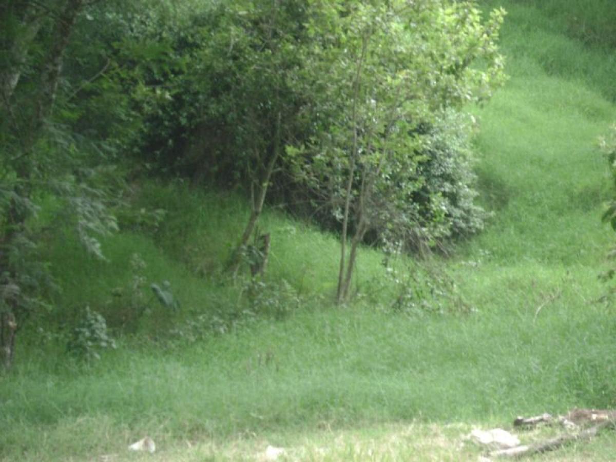 Picture of Residential Land For Sale in Veracruz De Ignacio De La Llave, Veracruz, Mexico