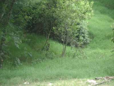 Residential Land For Sale in Veracruz De Ignacio De La Llave, Mexico