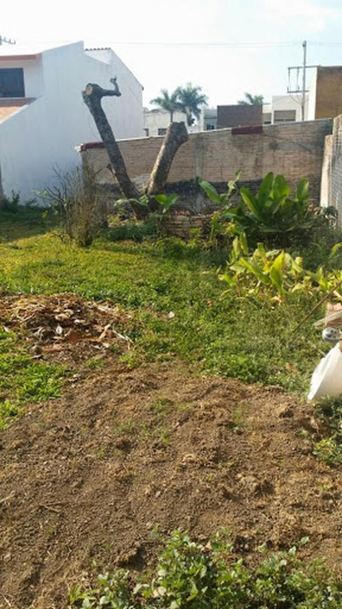 Picture of Residential Land For Sale in Nayarit, Nayarit, Mexico