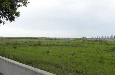 Residential Land For Sale in 