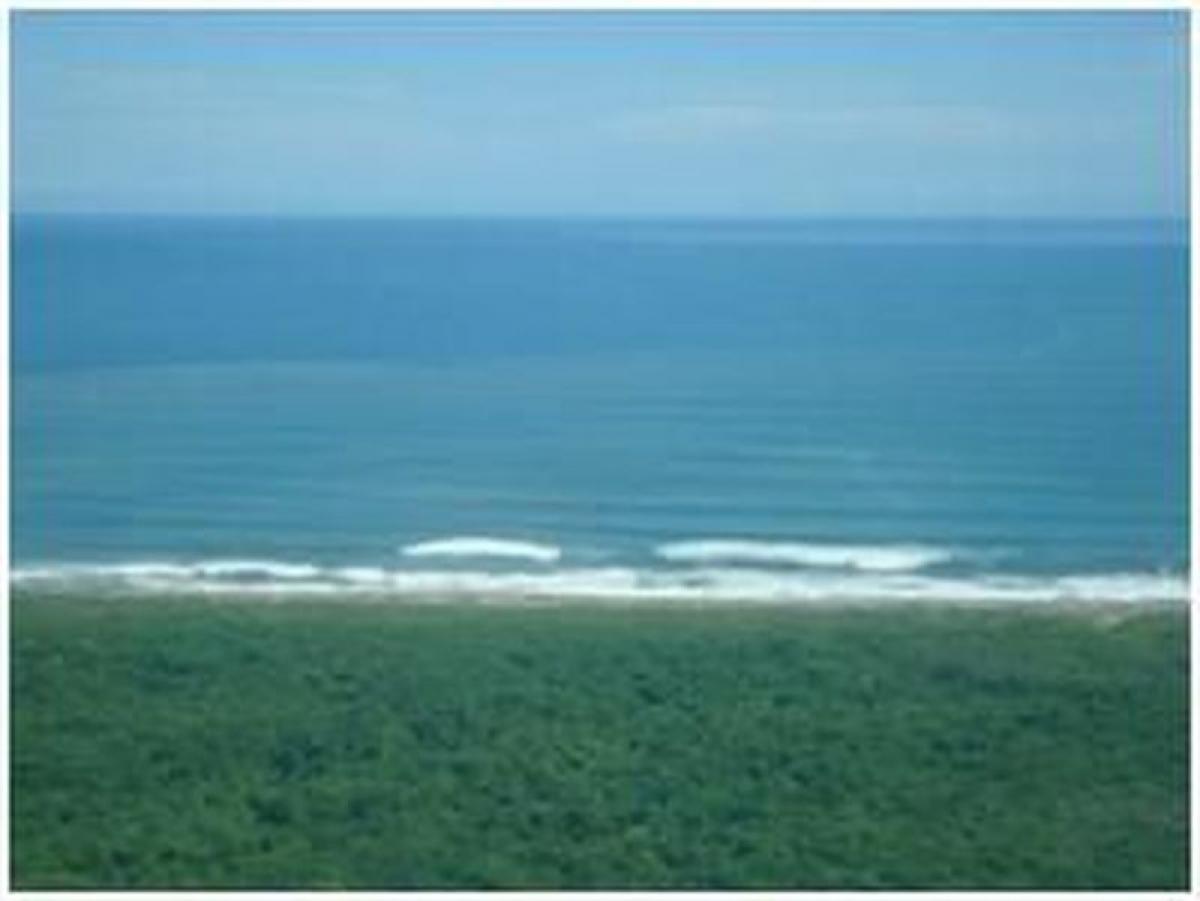 Picture of Residential Land For Sale in Tecpan De Galeana, Guerrero, Mexico