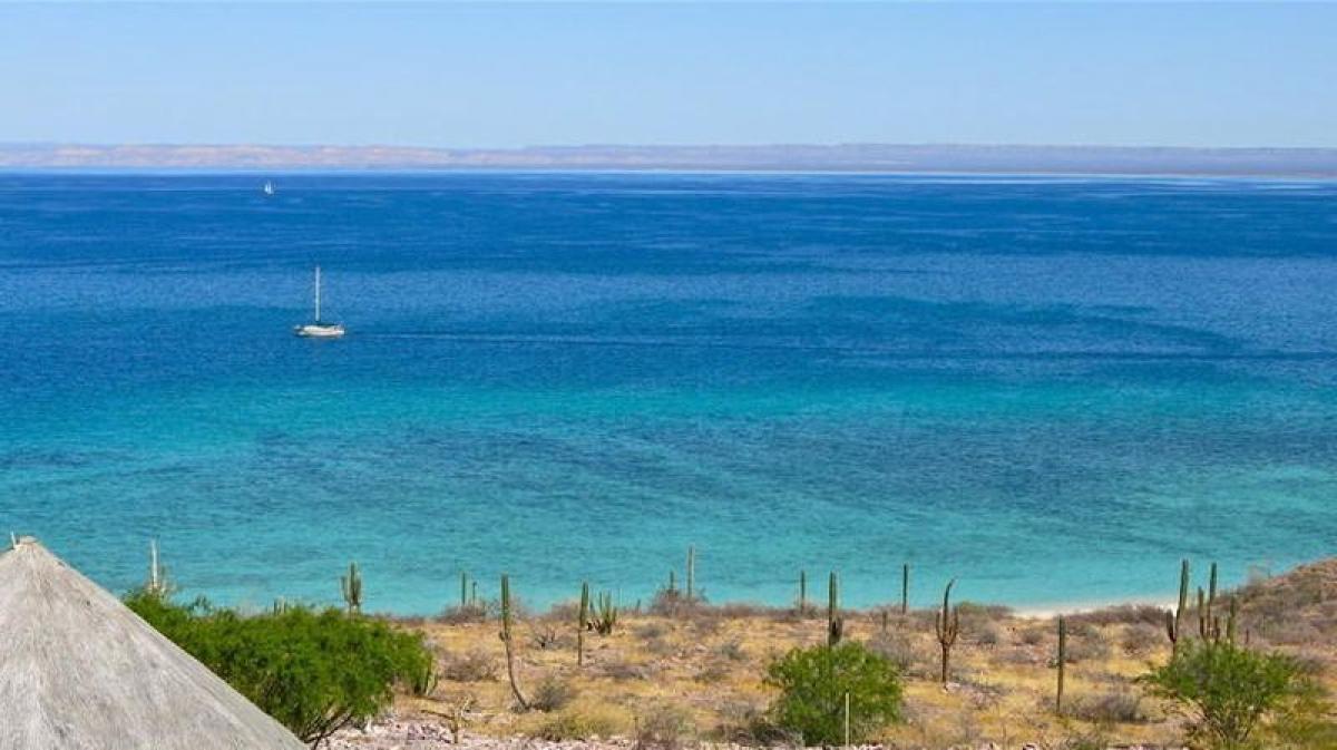 Picture of Apartment For Sale in Baja California Sur, Baja California Sur, Mexico