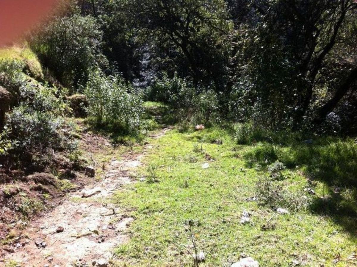 Picture of Residential Land For Sale in Jilotzingo, Mexico, Mexico