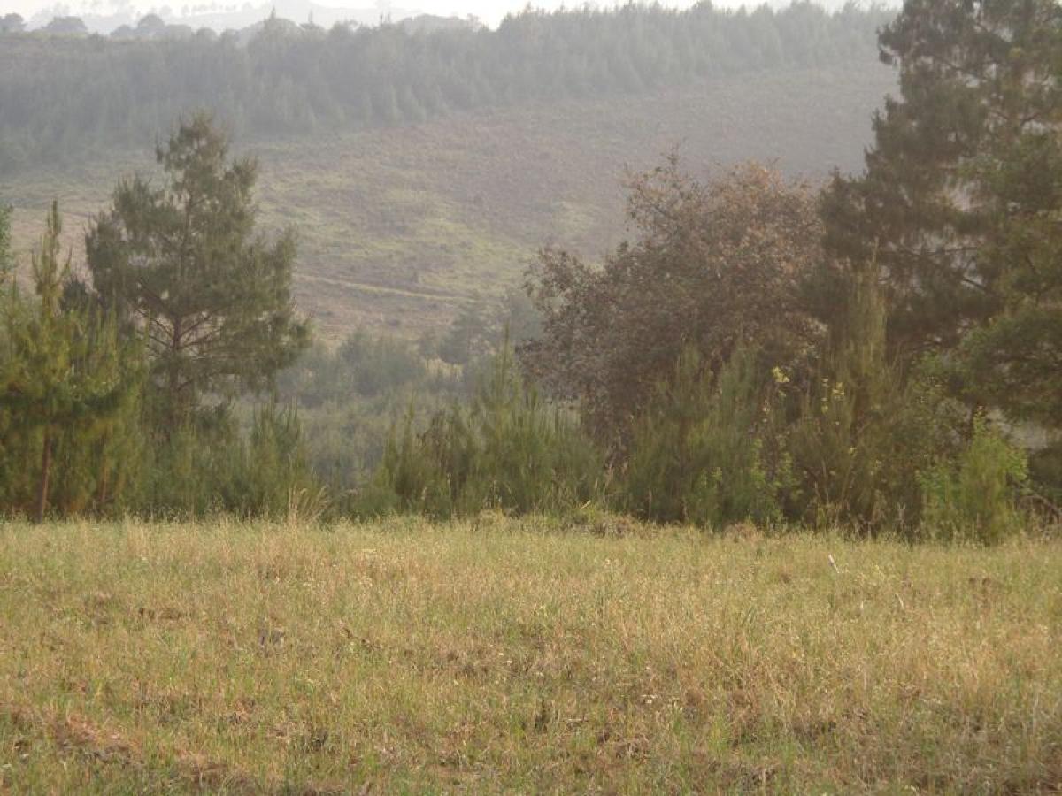 Picture of Development Site For Sale in Tijuana, Baja California, Mexico