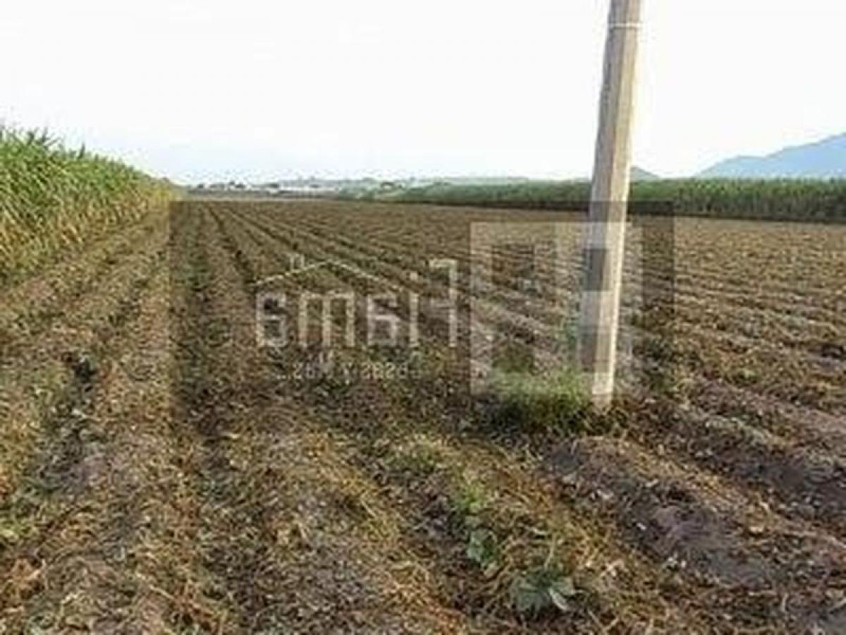 Picture of Development Site For Sale in Xalisco, Nayarit, Mexico