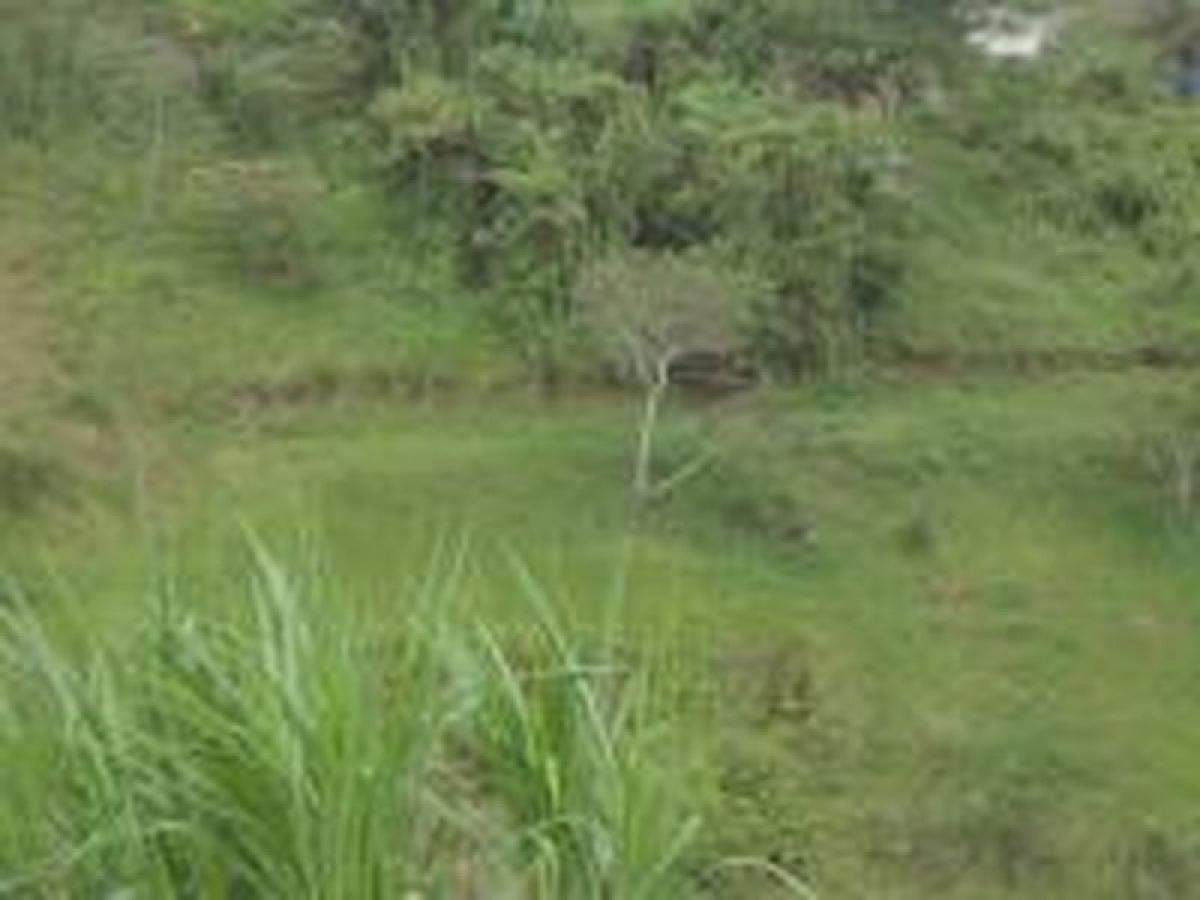 Picture of Development Site For Sale in Jiquipilas, Chiapas, Mexico