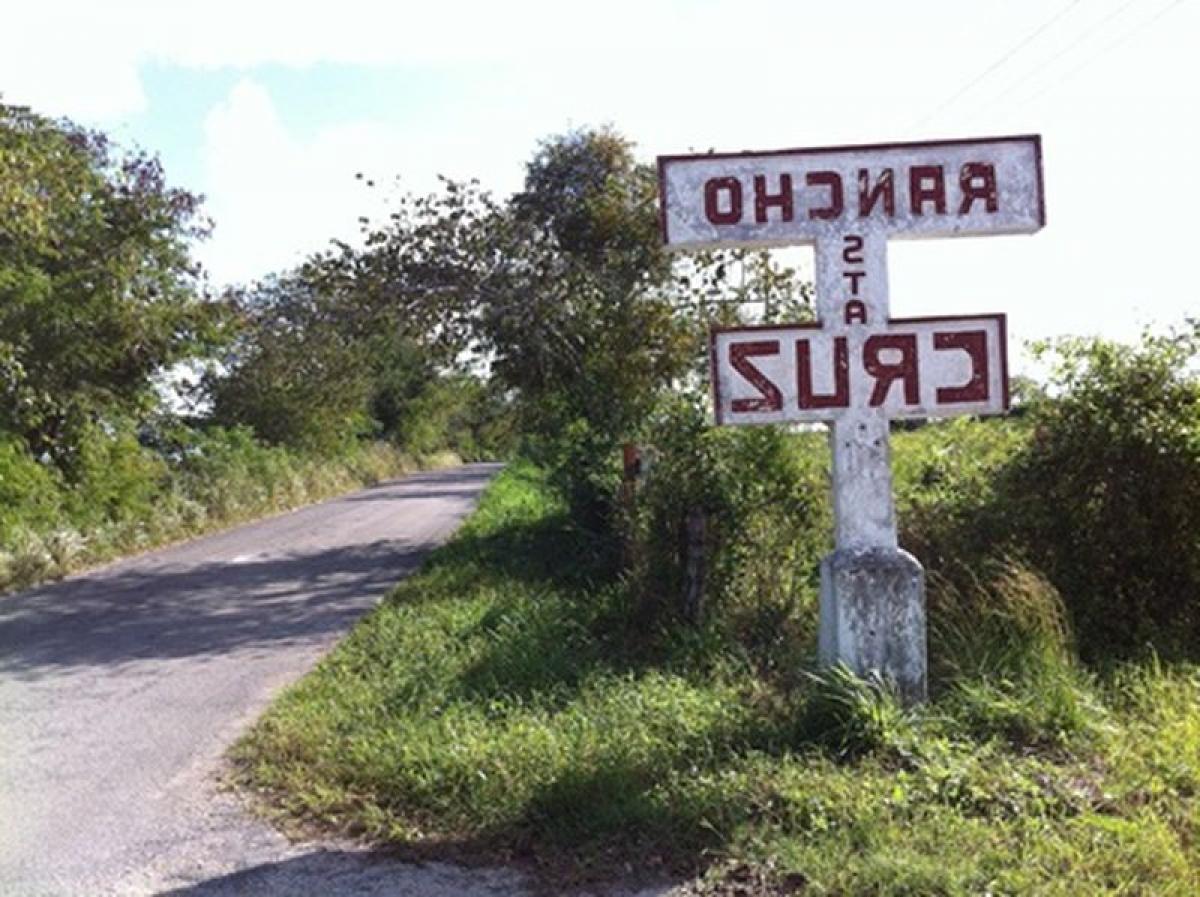 Picture of Development Site For Sale in Panaba, Yucatan, Mexico