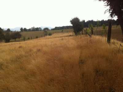 Development Site For Sale in Mexicali, Mexico