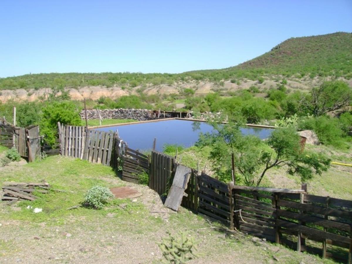 Picture of Development Site For Sale in Baja California Sur, Baja California Sur, Mexico