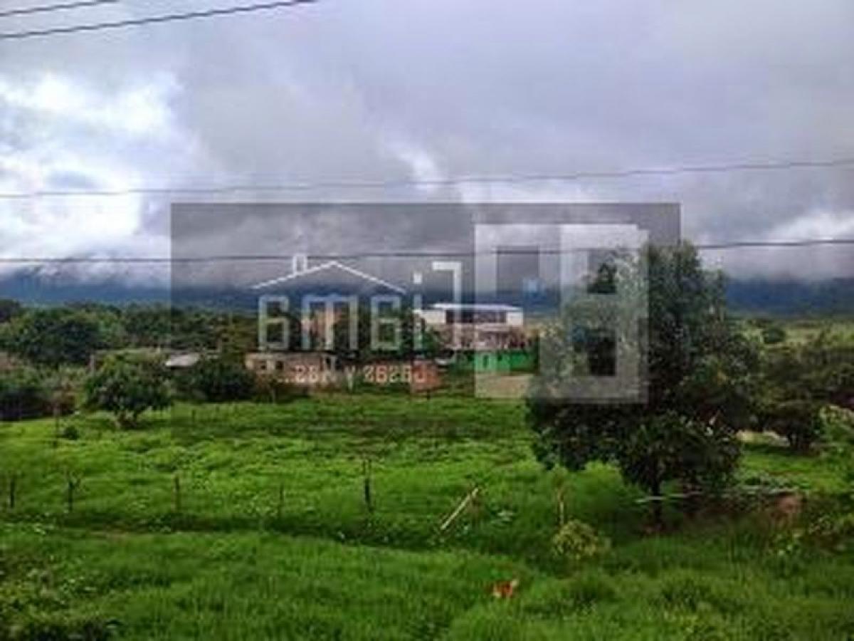 Picture of Residential Land For Sale in Nayarit, Nayarit, Mexico