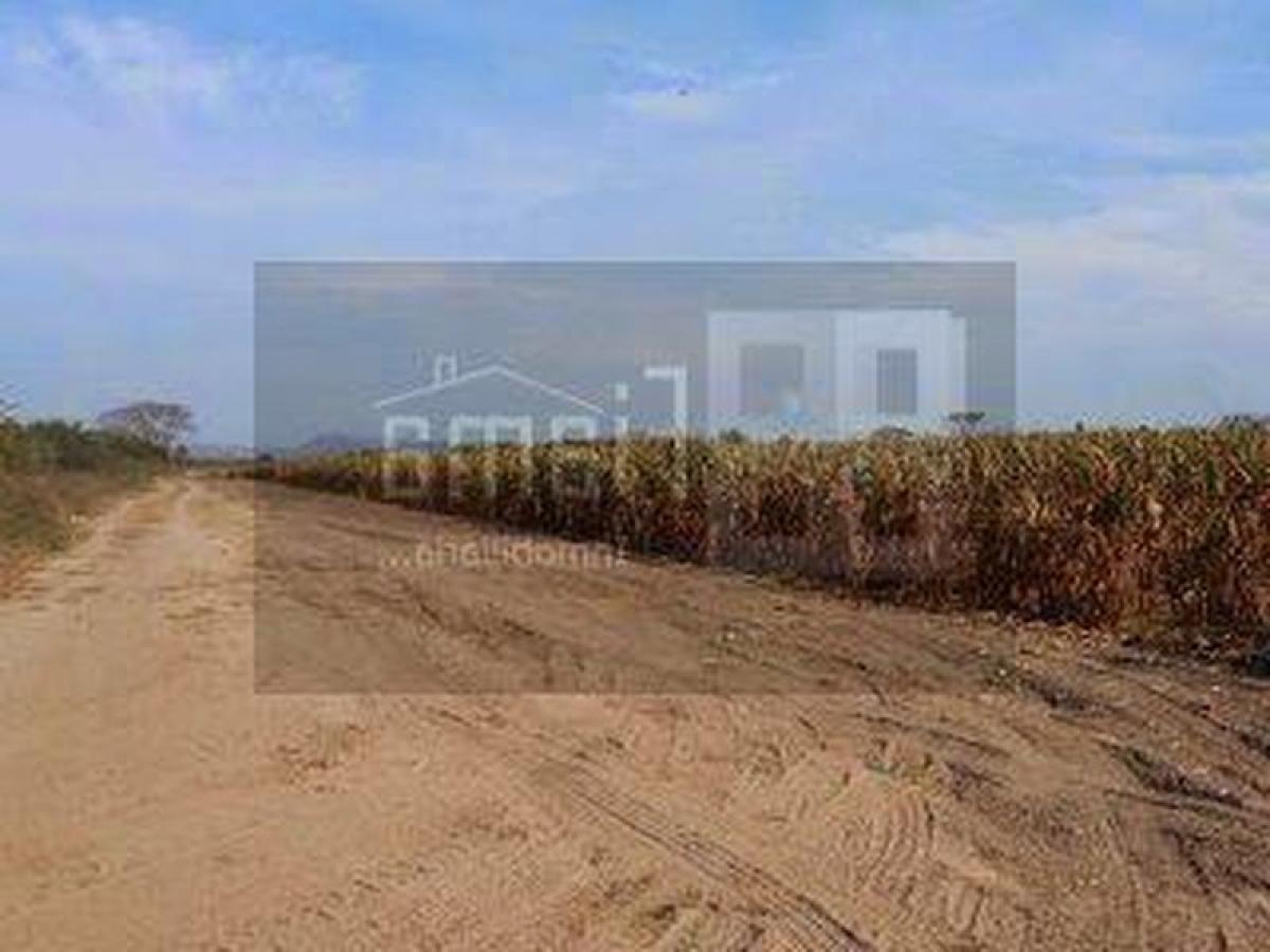 Picture of Development Site For Sale in Nayarit, Nayarit, Mexico