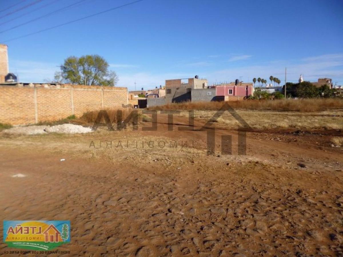 Picture of Home For Sale in San Ignacio Cerro Gordo, Jalisco, Mexico