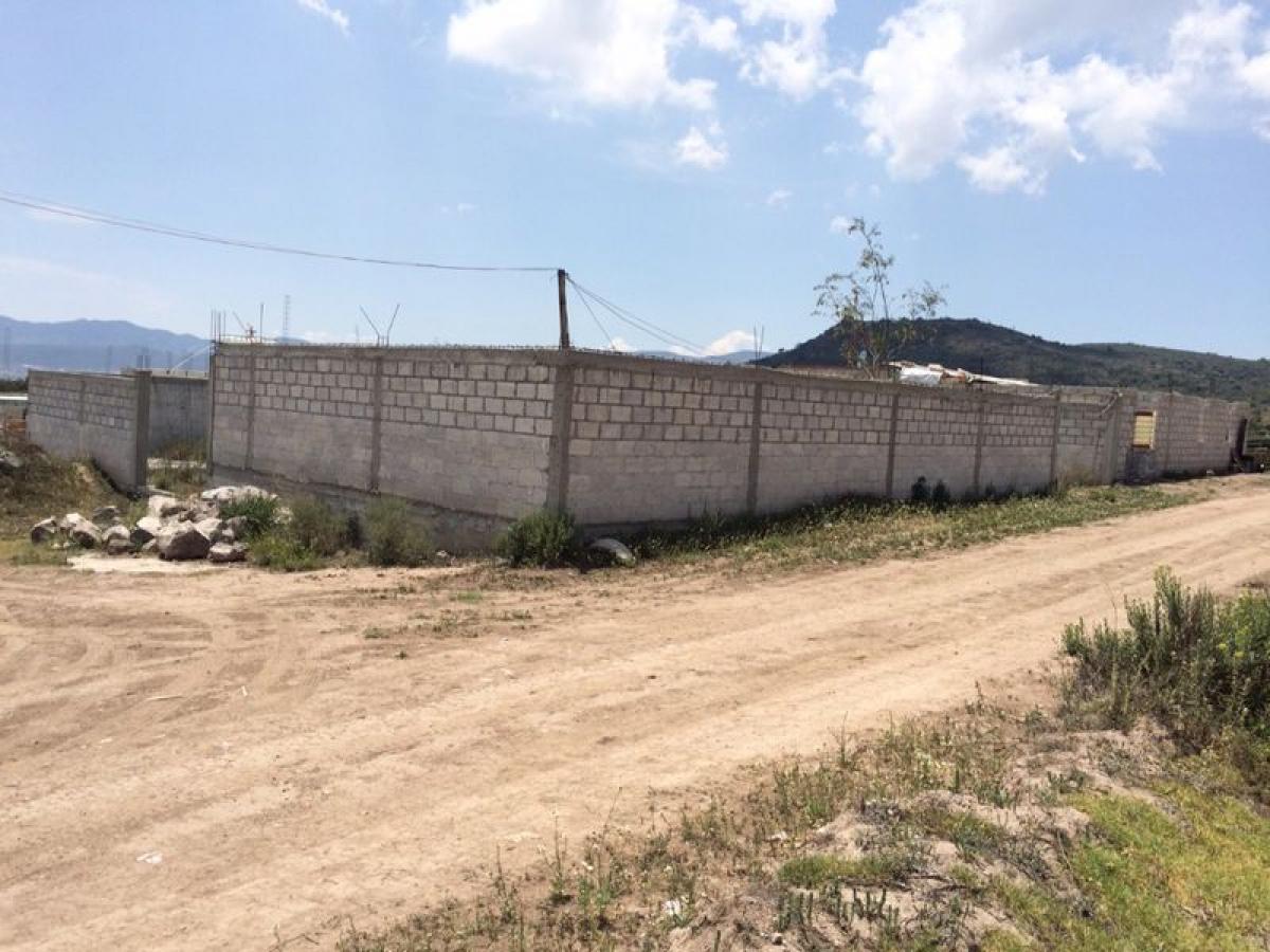 Picture of Residential Land For Sale in Hidalgo, Hidalgo, Mexico
