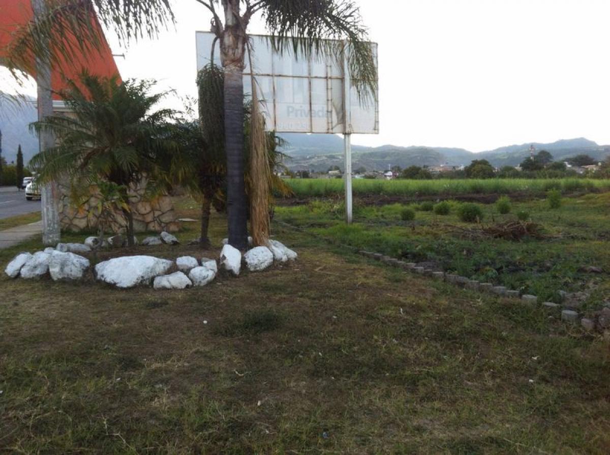Picture of Residential Land For Sale in Xalisco, Nayarit, Mexico