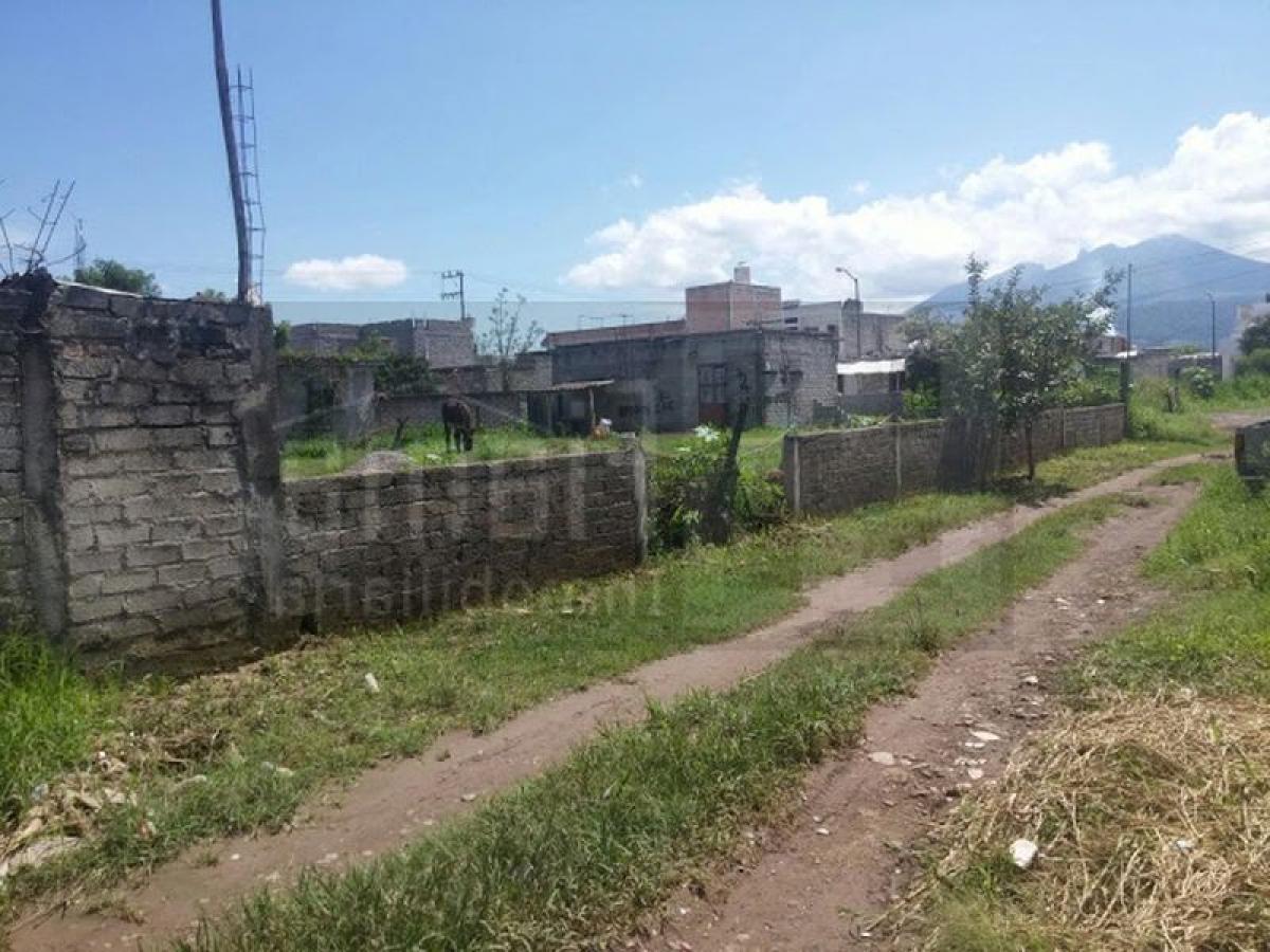 Picture of Residential Land For Sale in Nayarit, Nayarit, Mexico