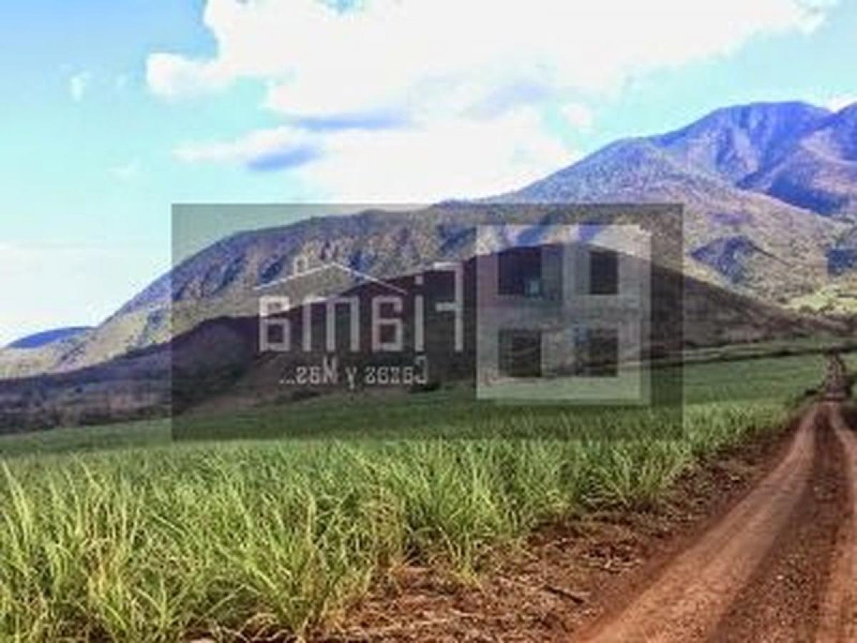 Picture of Development Site For Sale in Nayarit, Nayarit, Mexico