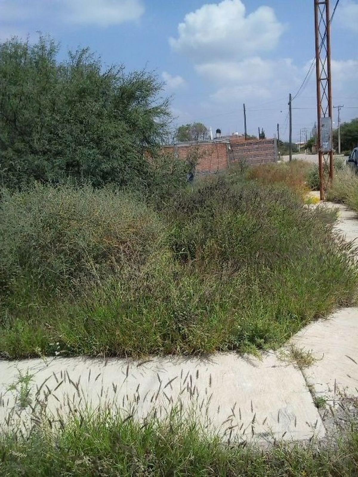 Picture of Residential Land For Sale in San Luis Potosi, San Luis Potosi, Mexico