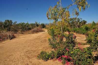 Residential Land For Sale in Baja California Sur, Mexico