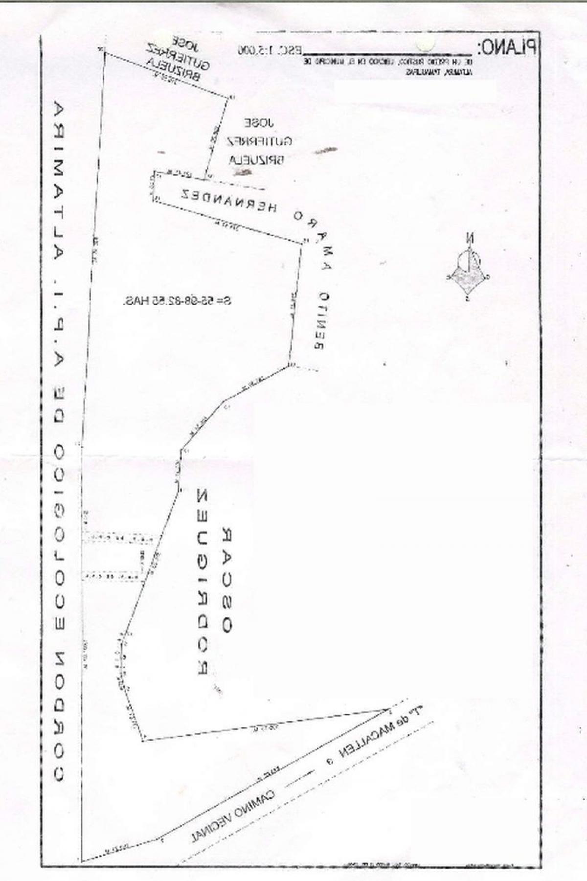 Picture of Residential Land For Sale in Tamaulipas, Tamaulipas, Mexico