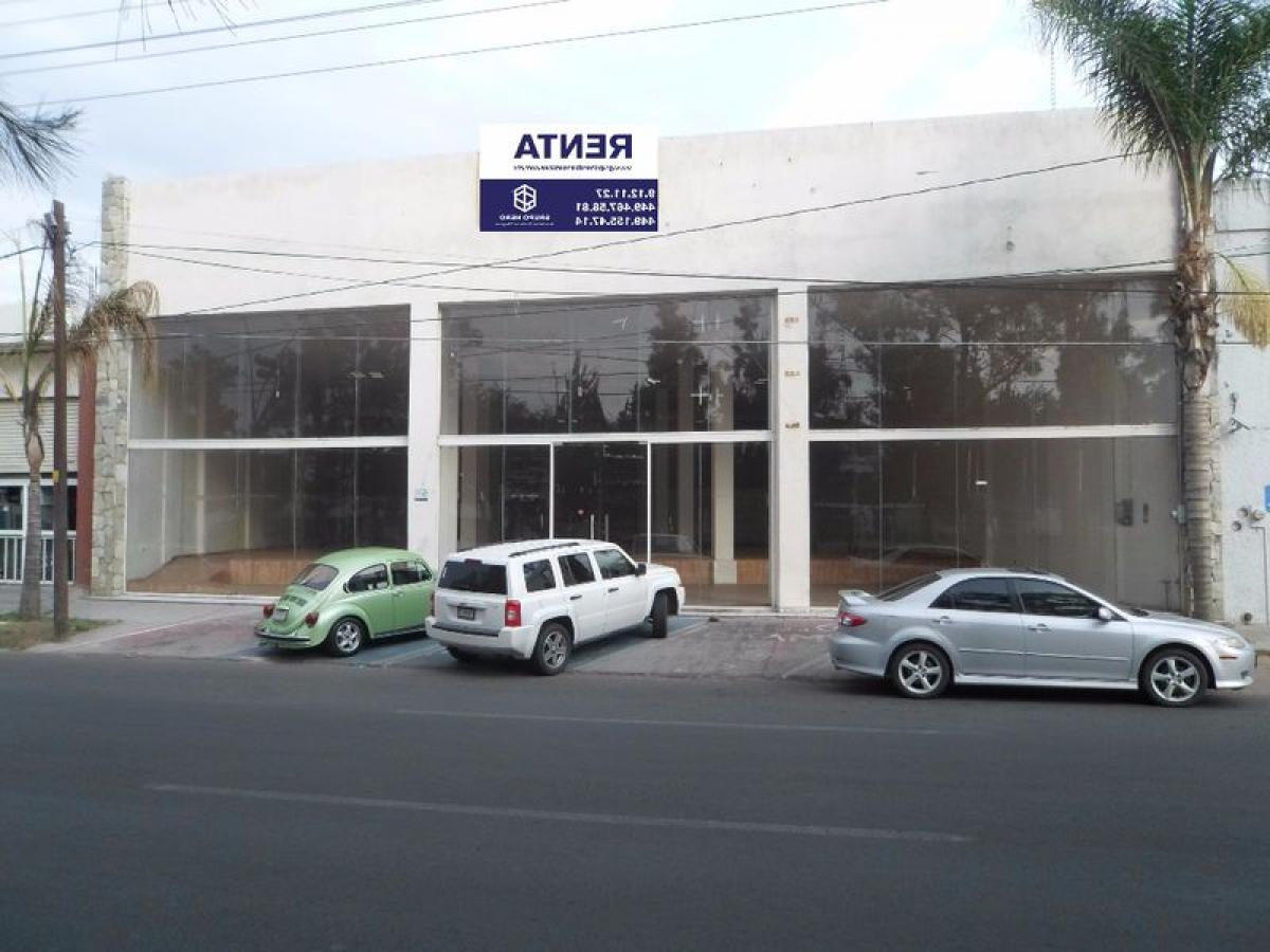 Picture of Apartment Building For Sale in Aguascalientes, Aguascalientes, Mexico