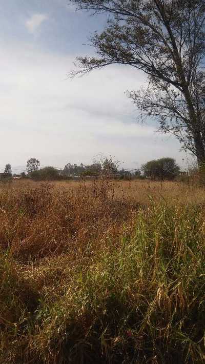 Residential Land For Sale in Ixtlahuacan De Los Membrillos, Mexico