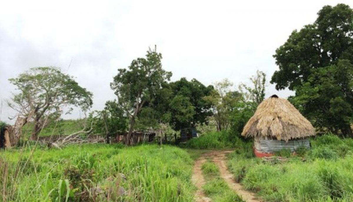 Picture of Development Site For Sale in Cantamayec, Yucatan, Mexico