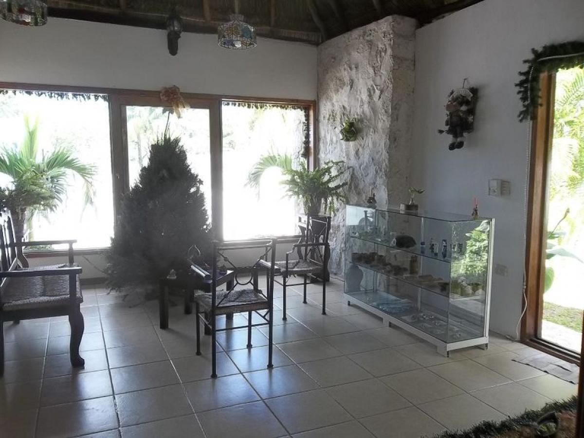Picture of Apartment For Sale in Campeche, Campeche, Mexico