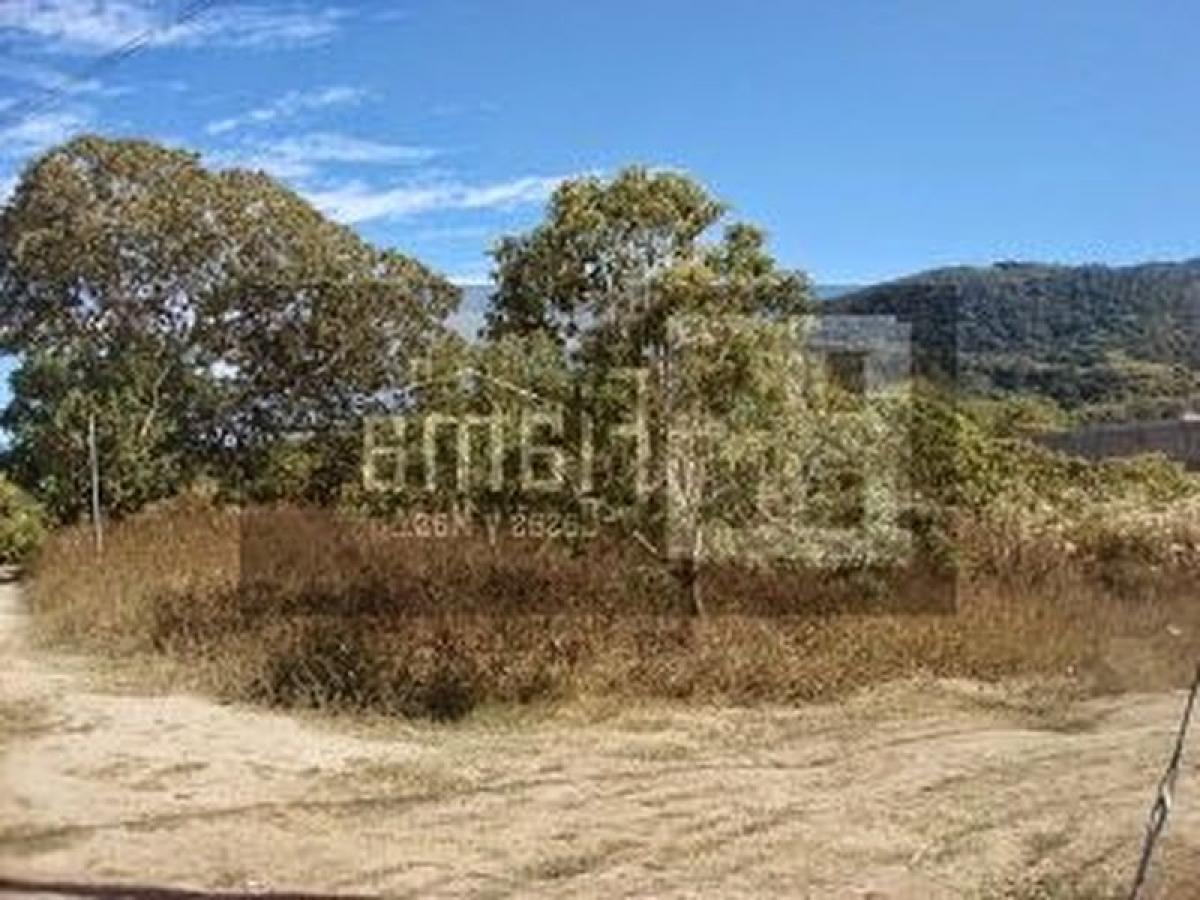 Picture of Residential Land For Sale in Nayarit, Nayarit, Mexico