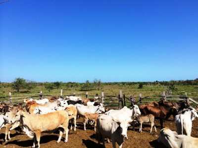 Development Site For Sale in Dzilam De Bravo, Mexico