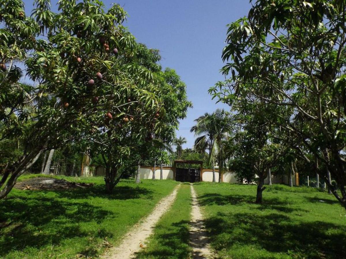 Picture of Residential Land For Sale in Coyuca De Benitez, Guerrero, Mexico