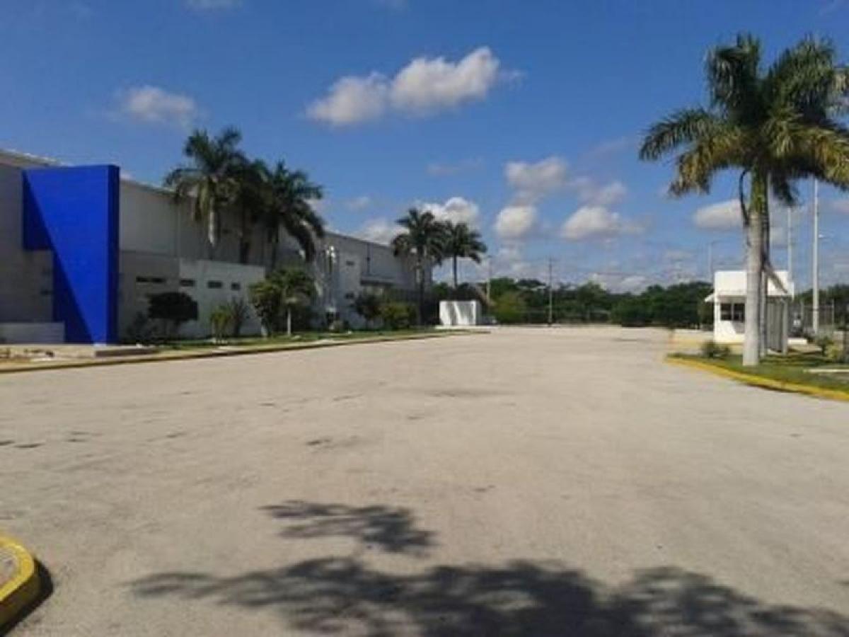 Picture of Other Commercial For Sale in Yucatan, Yucatan, Mexico