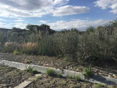 Residential Land For Sale in Union De San Antonio, Mexico