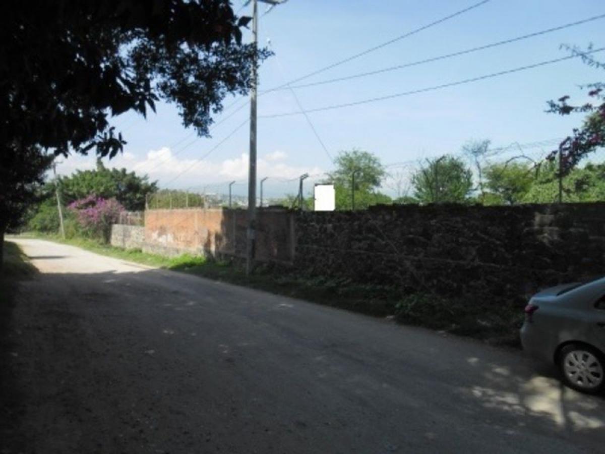 Picture of Residential Land For Sale in Emiliano Zapata, Hidalgo, Mexico