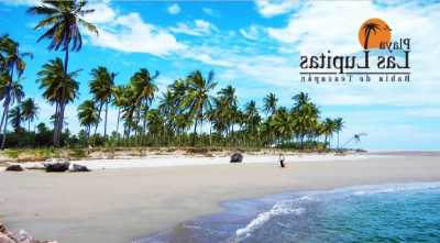 Development Site For Sale in Sinaloa, Mexico