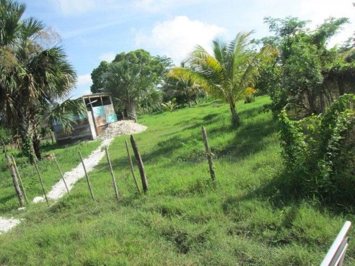 Picture of Residential Land For Sale in Campeche, Campeche, Mexico
