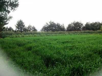Residential Land For Sale in Toluca, Mexico
