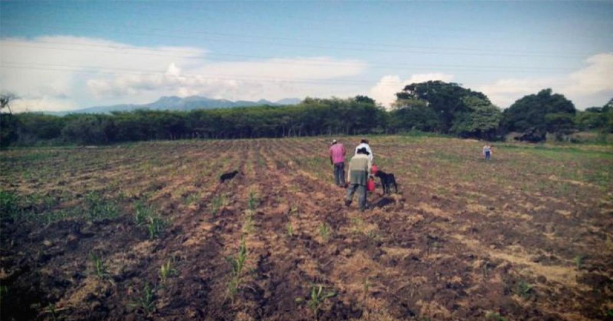 Picture of Development Site For Sale in Morelos, Morelos, Mexico