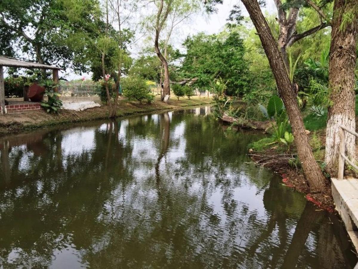 Picture of Residential Land For Sale in Bahia De Banderas, Nayarit, Mexico