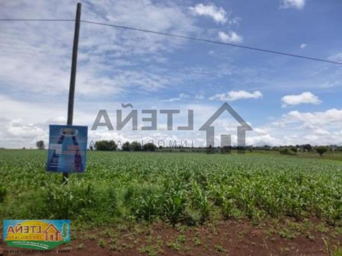 Picture of Residential Land For Sale in Arandas, Jalisco, Mexico