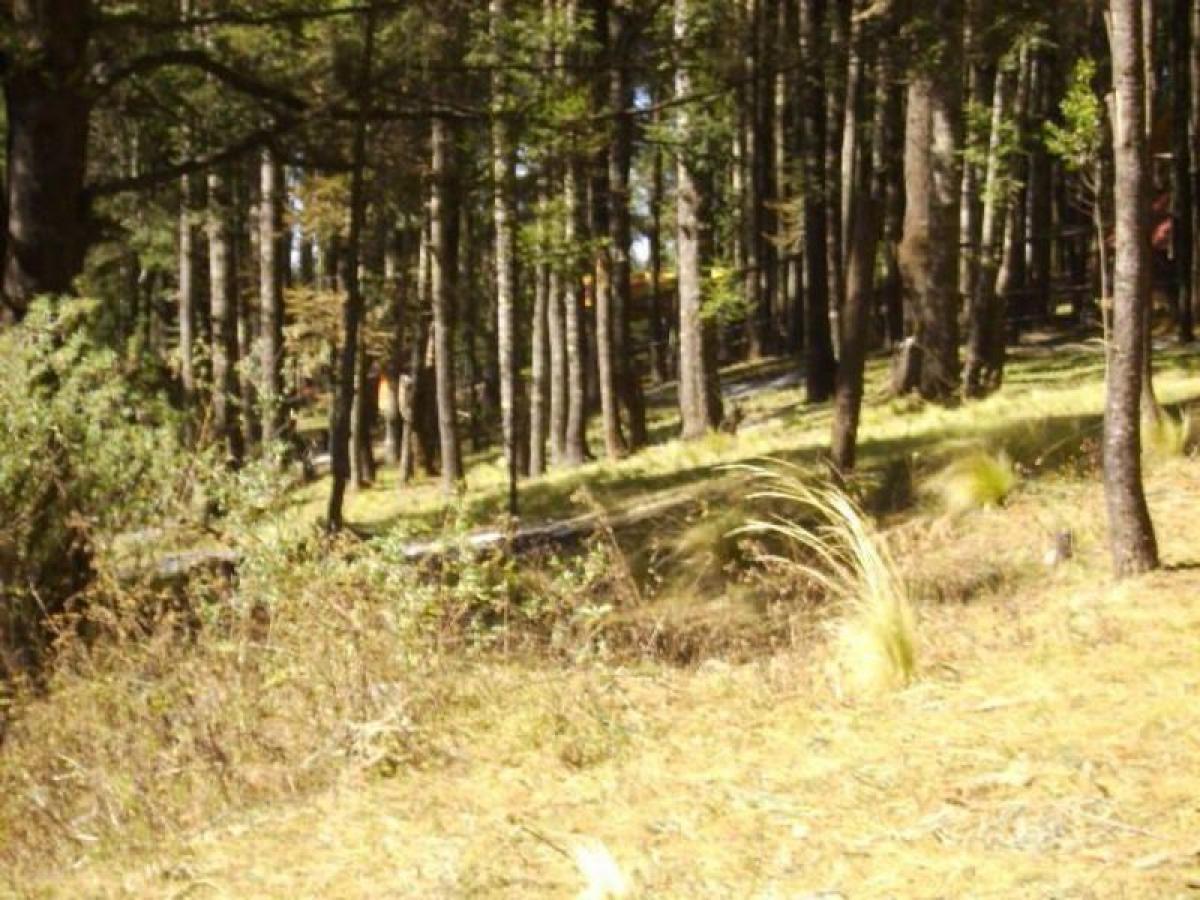 Picture of Residential Land For Sale in Nicolas Romero, Mexico, Mexico