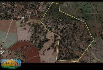 Development Site For Sale in Arandas, Mexico