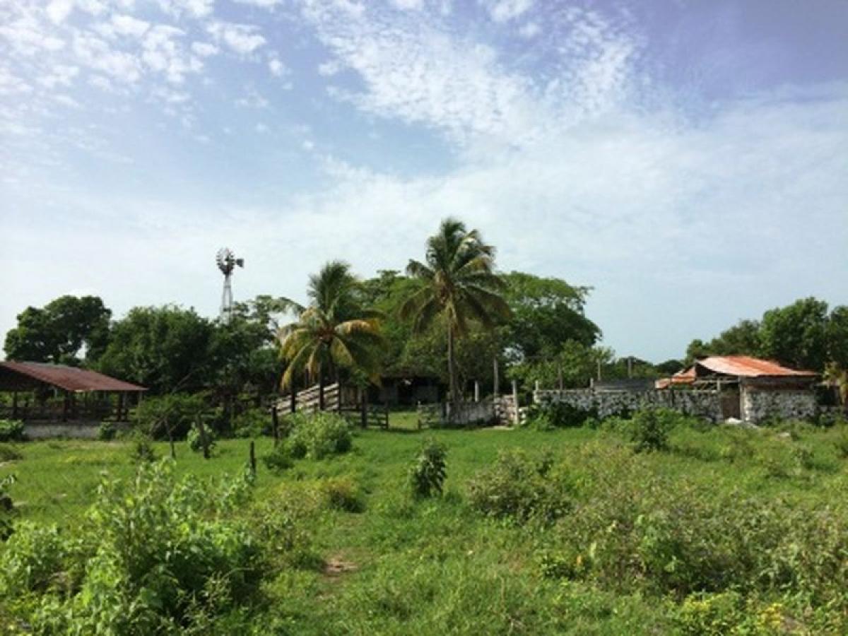 Picture of Development Site For Sale in Dzilam De Bravo, Yucatan, Mexico