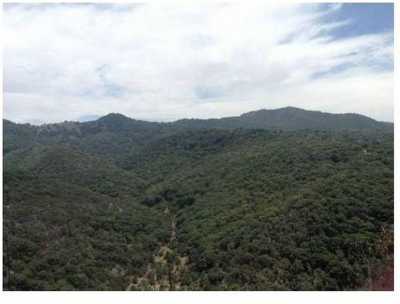 Development Site For Sale in San Luis Potosi, Mexico