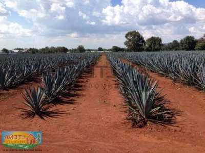 Residential Land For Sale in Arandas, Mexico