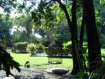Residential Land For Sale in Morelos, Mexico