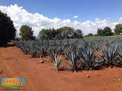 Residential Land For Sale in Arandas, Mexico