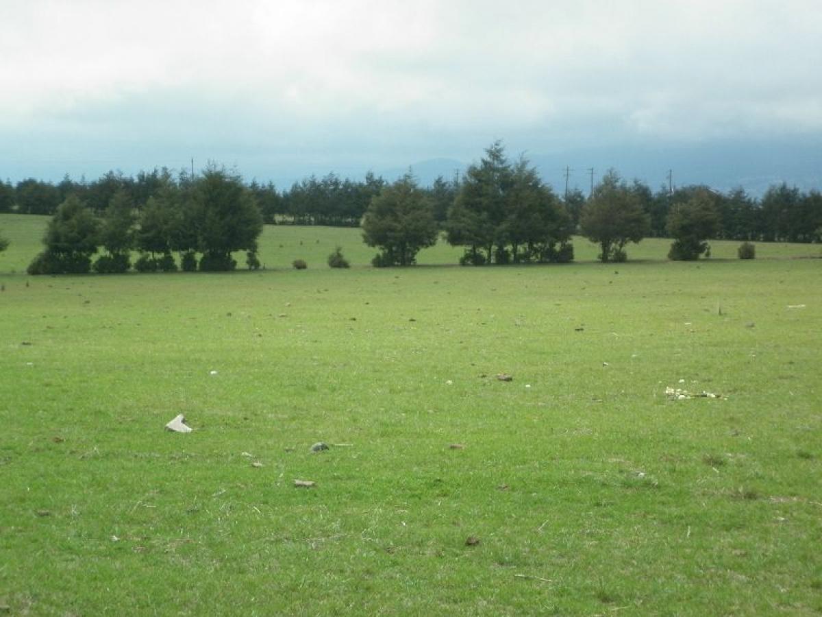 Picture of Development Site For Sale in Puebla, Puebla, Mexico